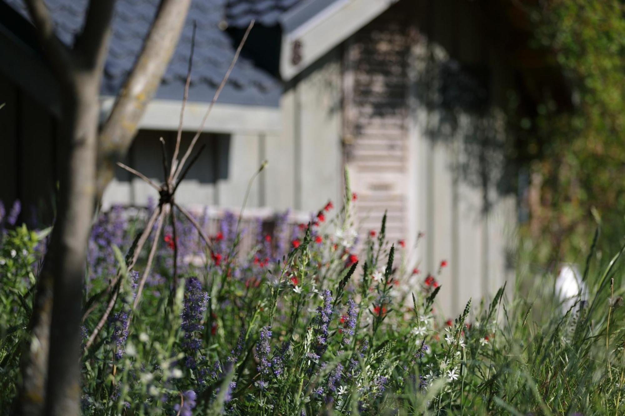 La Gourmandine Courry Exterior foto